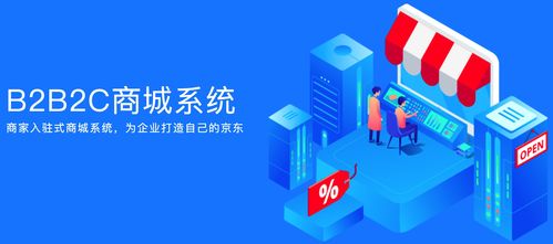 b2b2c多商戶商城系統(tǒng)助力企業(yè)更好的發(fā)展渠道